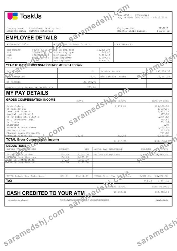 TaskUs LizardBear Tasking earnings template in Word and PDF formats.pdf, 1